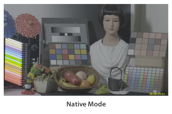 Native Mode